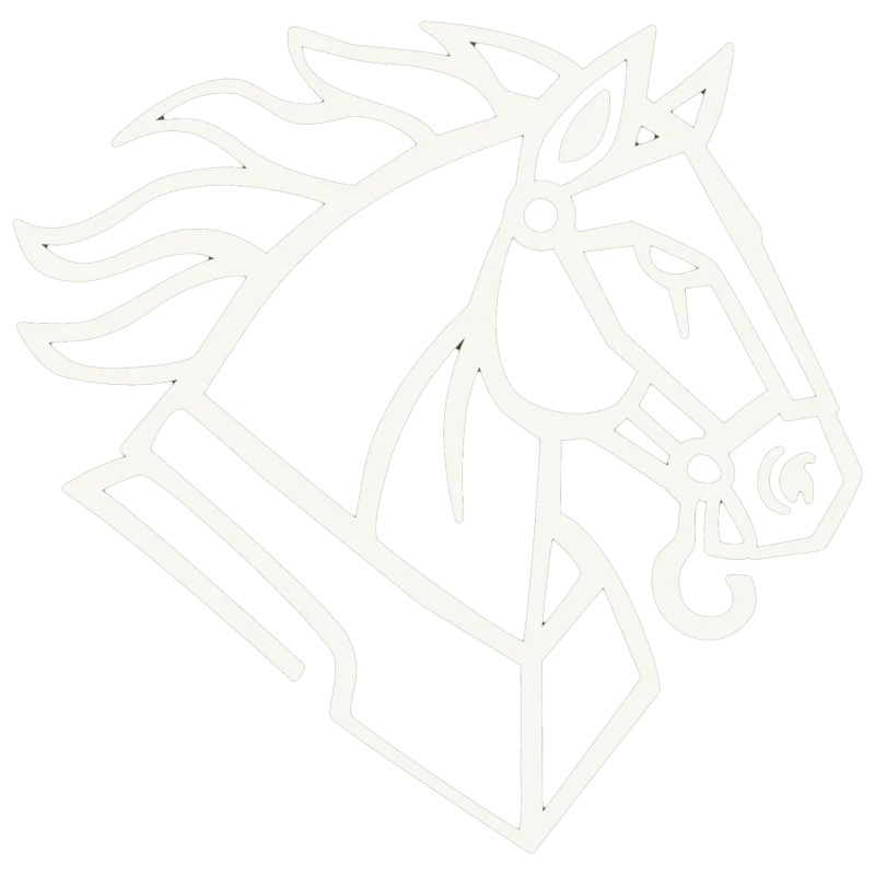 Warhorse Hauling and Junk Removal